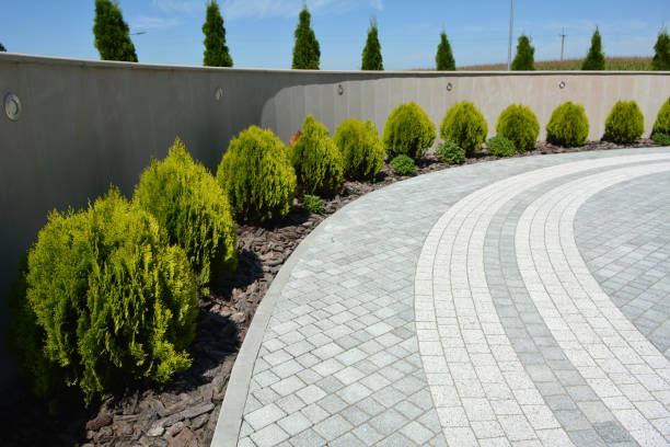 Best Driveway Pavers Near Me  in Montgomeryville, PA